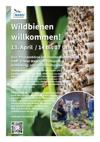 Plakat_Pflanzenb&ouml;rse_Insektenhotelbau_2024